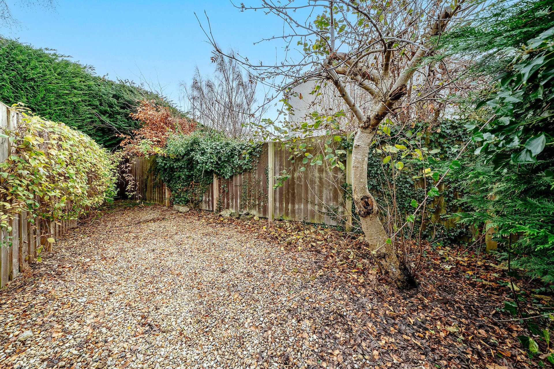 78 Woodfield Avenue, Edinburgh, Midlothian, EH13 0QP - Picture #20