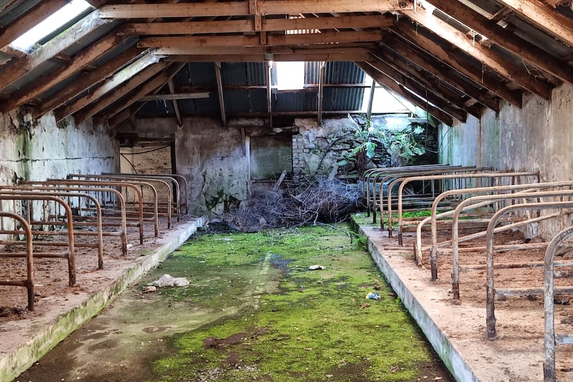 Ardonachie Farm, Bankfoot, Perth, Perth and Kinross, PH1 4DY - Picture #14