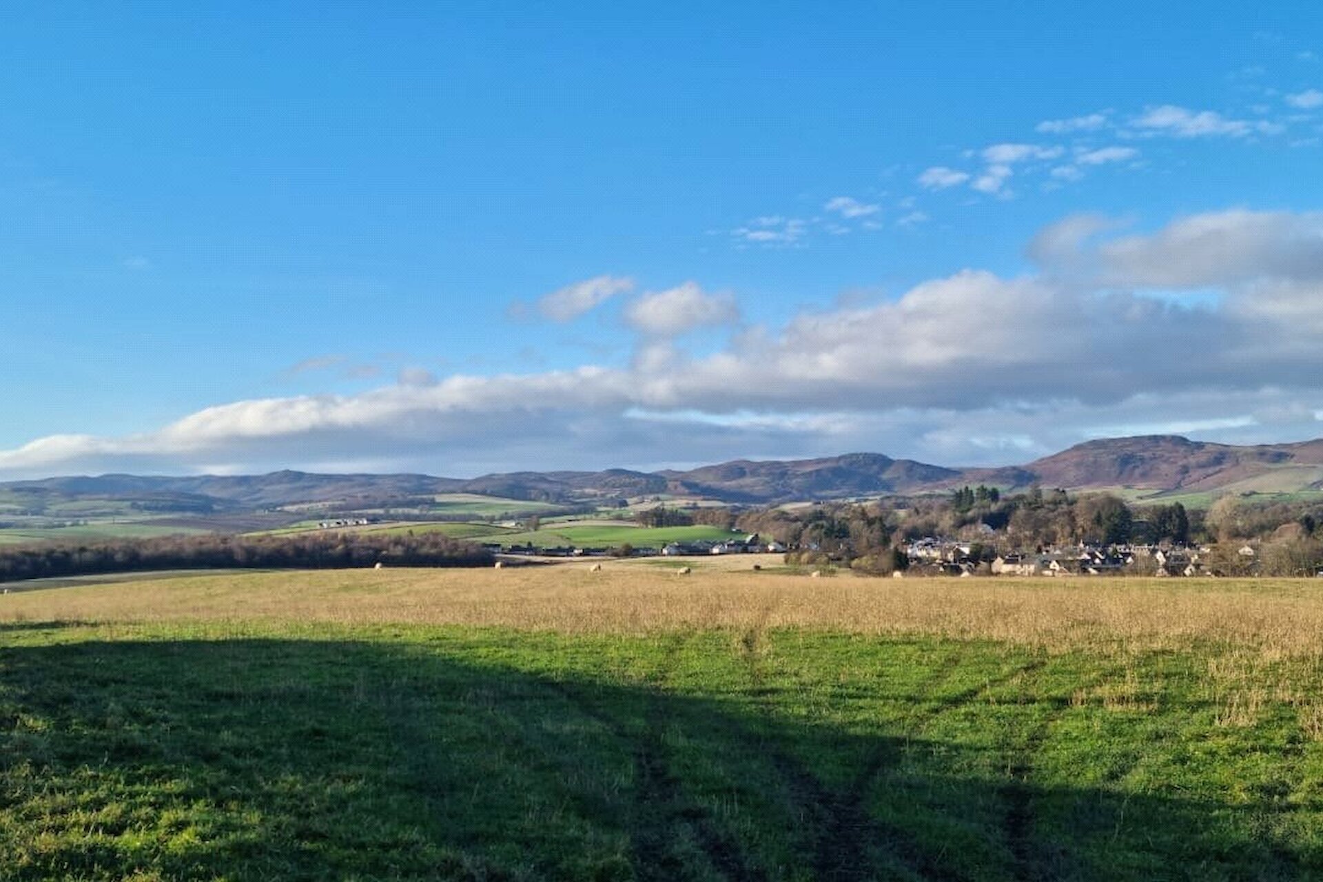 Ardonachie Farm, Bankfoot, Perth, Perth and Kinross, PH1 4DY - Picture #18