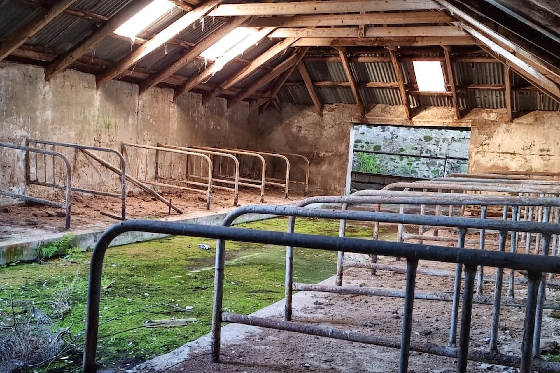 Ardonachie Farm, Bankfoot, Perth, Perth and Kinross, PH1 4DY - Picture #19