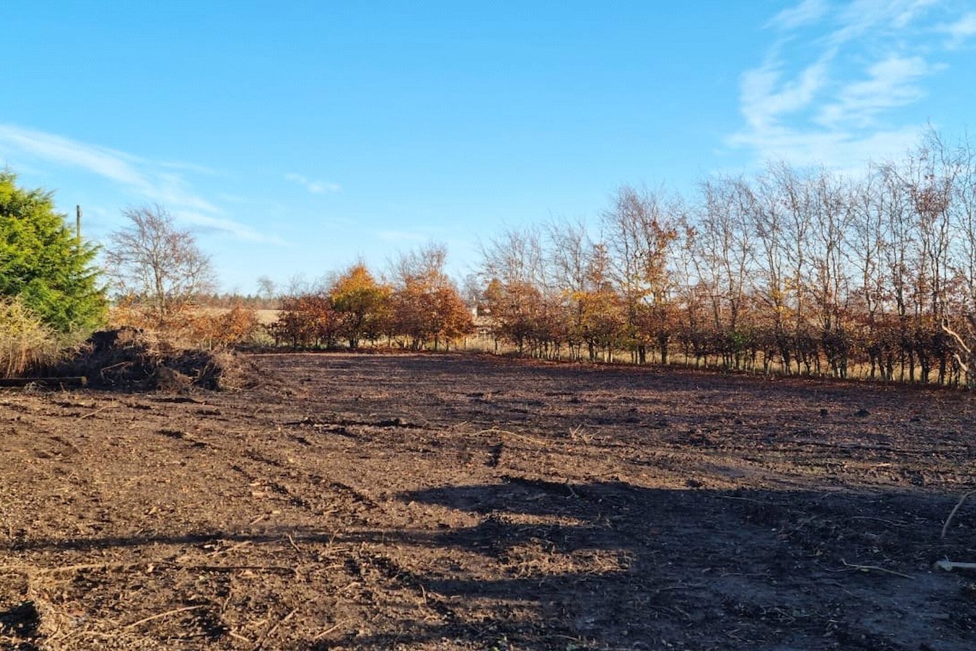 Ardonachie Farm, Bankfoot, Perth, Perth and Kinross, PH1 4DY - Picture #25