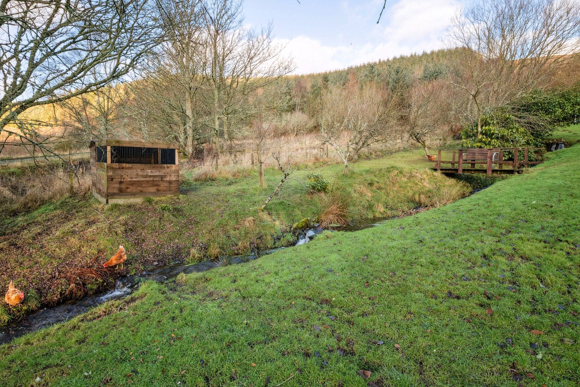 The Threshing Mill, Wester Essenside, Ashkirk, Selkirk, TD7 4PG - Picture #29