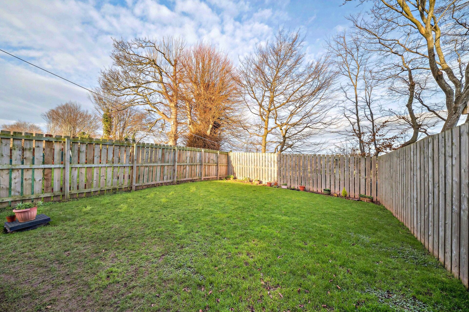 24 Field Court, Milfield, Northumberland, NE71 6BA - Picture #14